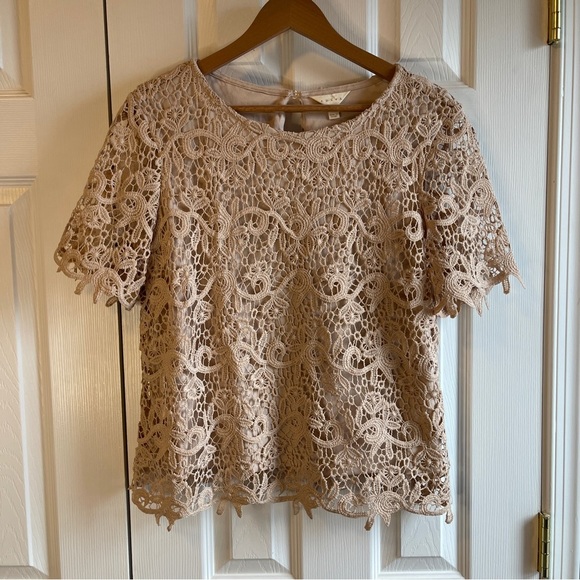 Adiva Tops - Adiva Crochet Tan/Beige Top Size Large - beautiful!